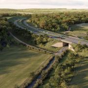 Norfolk County Council has been accused of 'catastrophic failure' over its approach to bats on the Norwich Western Link route. Inset: County councillor Andrew Jamieson and Stop The Wensum Link campaigner David Pett