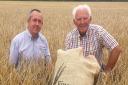 Tony Banham (right) pictured with his son Mark in a field of Maris Otter malting barley