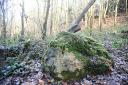 The old stone that stands in a grove beside a path in woodland near Hase's Lane, Lyng. Picture: Ian Burt