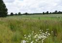 Dereham Town Council has bought 22 hectares of arable land to create a 160-acre country park