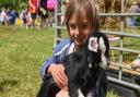 Seth Ridley, 6, from King's Lynn, with the goats at Open Farm Sunday at Gressenhall Farm