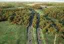 Norfolk County Council is considering splitting the Western Link carriageway to retain trees for bats.