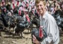 James Graham at Peele's Norfolk Black Turkeys in Thuxton. Picture: Matthew Usher