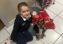 Bonnie Marsh, 4, from Dereham, died in December 2021 from a mystery illness