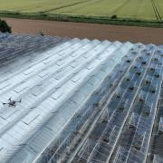 A sprayer drone from Norfolk firm Crop Angel whitewashing greenhouses in Lincolnshire