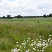 Dereham Town Council has bought 22 hectares of arable land to create a 160-acre country park