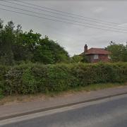 The garage would have gone up behind this hedge on the western edge of Mattishall.