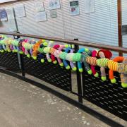 A ramp in the town's Nelson Place shopping precinct has been adorned with a creepy-crawly