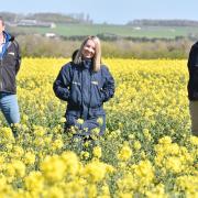 Bradenham Hall Farm is exploring non-chemical ways of controlling crop pests. From left, farm manager David Pike, Frontier agronomist Emma Pudney-Filtness and Frontier agronomy manager Andrew Melton