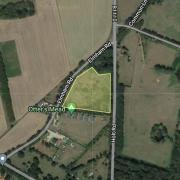 Plans have been lodged to build 10 holiday cabins on land off Elmham Road in Beetley, near Dereham