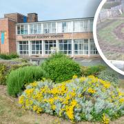 Katie Lindley, a science teacher from Fakenham Academy is asking for the tools and knowledge to help her pupils’ allotment flourish after it has completed the first phase of its development.