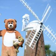 Dereham Windmill will host a teddy zip-wire fun day