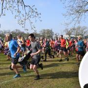Alison Webb (inset) Breckland councillor is looking to bring parkrun to Dereham